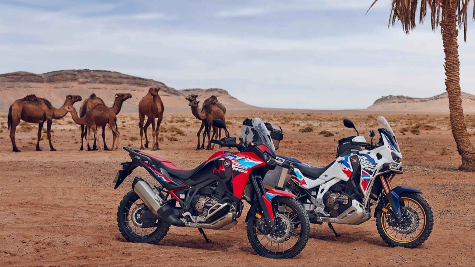 Honda Africa Twin 1084 Motosiklet Özellikleri : Honda Africa Twin 1084 102hp Güç, 105nm. Tork, 215km/h Top Speed, 1000cc Üstü,  Fiyat : 735750TL Fiyat, , 226kg Ağırlık, Ön / Arka (256 mm x 3,5 mm çift pistonlu kaliper / 220 mm x 4.5mm tek pistonlu kaliper) 2 Kanallı ABS Fren, Ön - Arka(90/90-21M/C 54H / 150/70R18M/C 70H)